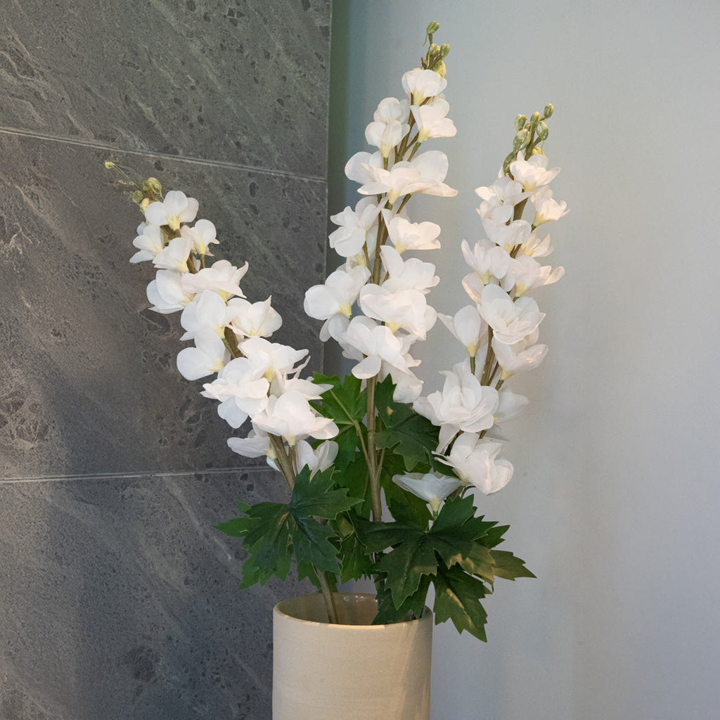Delphinium Blanc