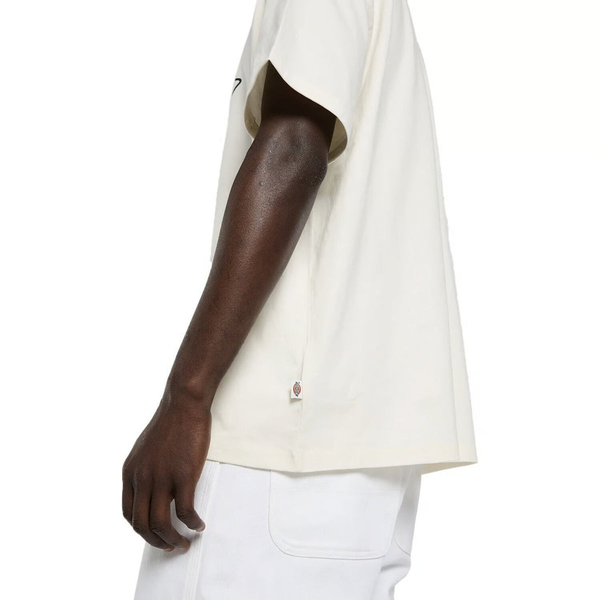 Dickies Irondale T-Shirt Egret - Egret