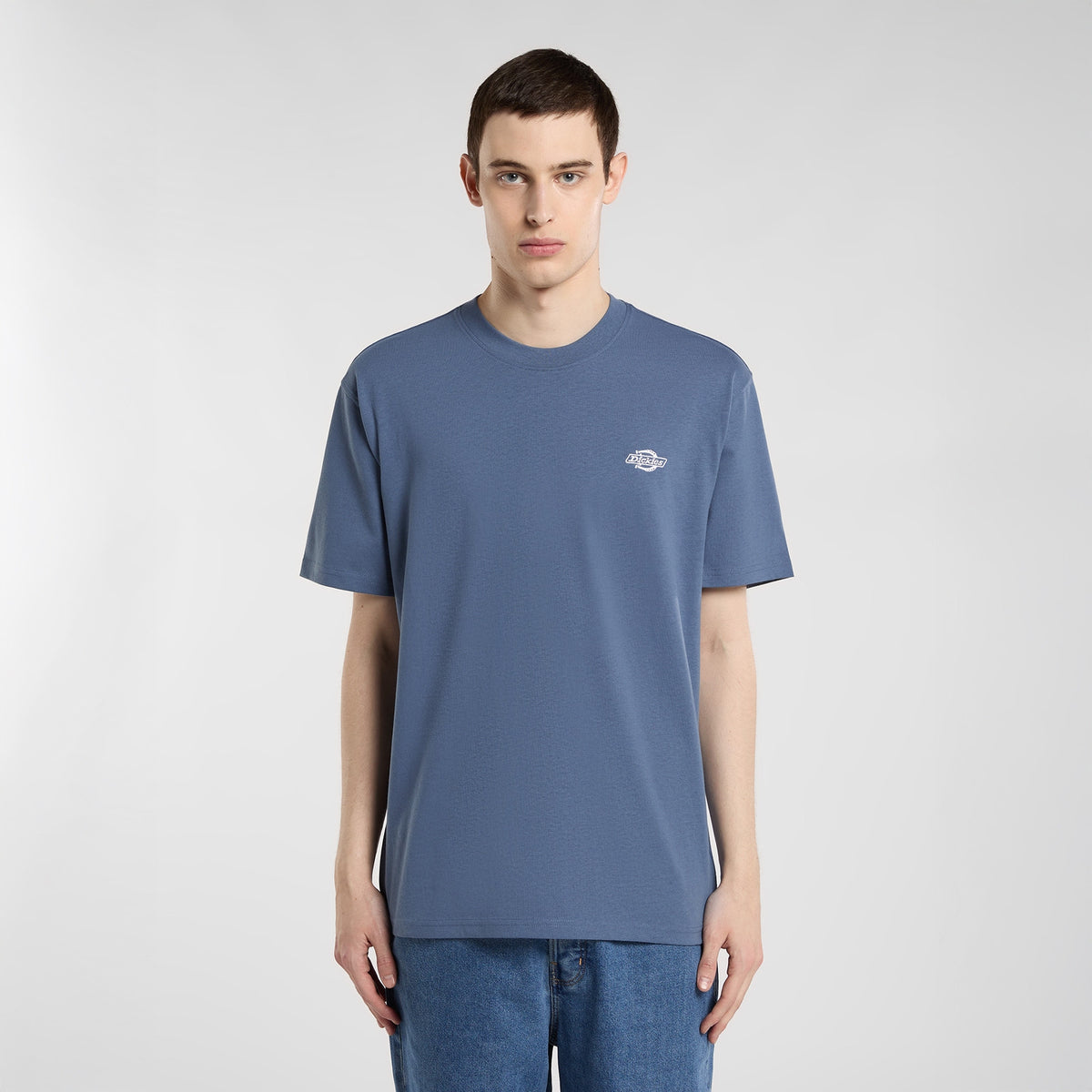 Dickies, T-shirt a maniche corte Summerdale, Retro Indigo - Eucalyptus