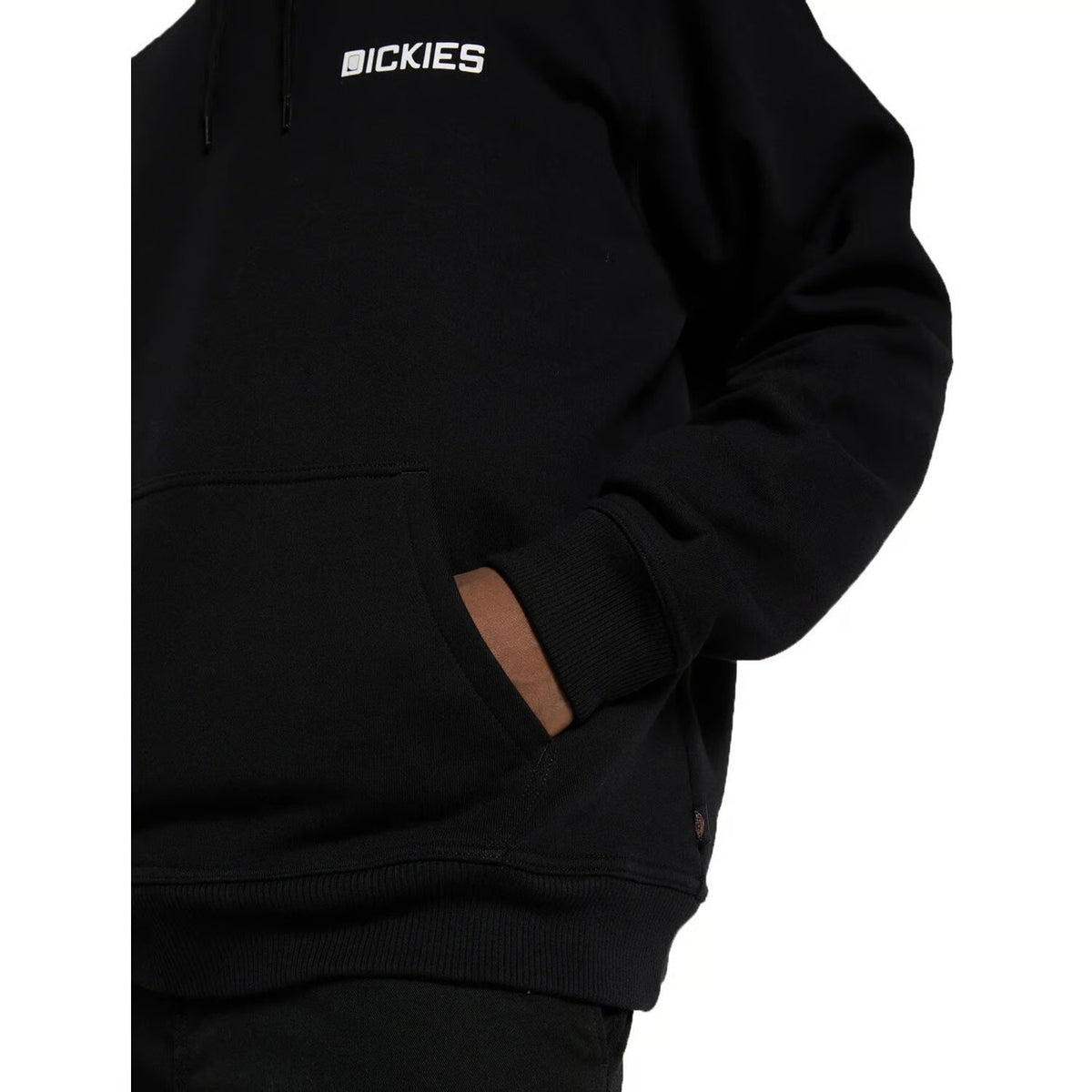 Dickies Sweat À Capuche Payson Noir - Black
