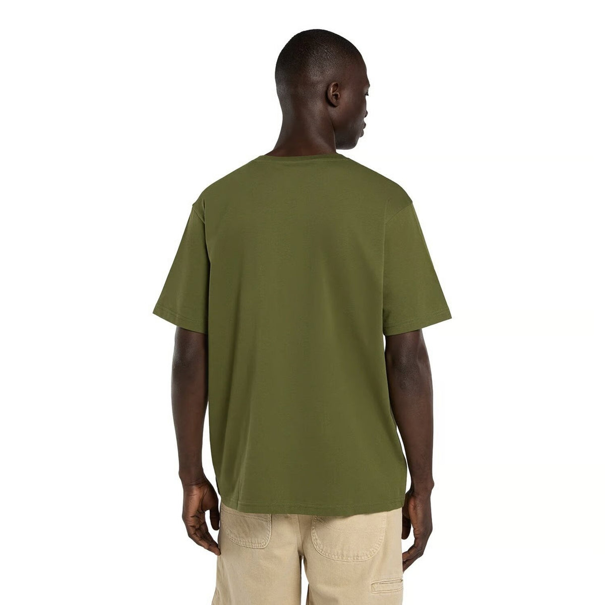 Dickies Mapleton T-Shirt Cypress - Cypress