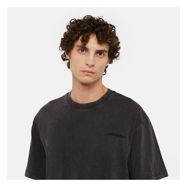 Dickies Plentywood T-Shirt (Double Dye Acid Wash Black) - Dble Dye Acid Wash Black