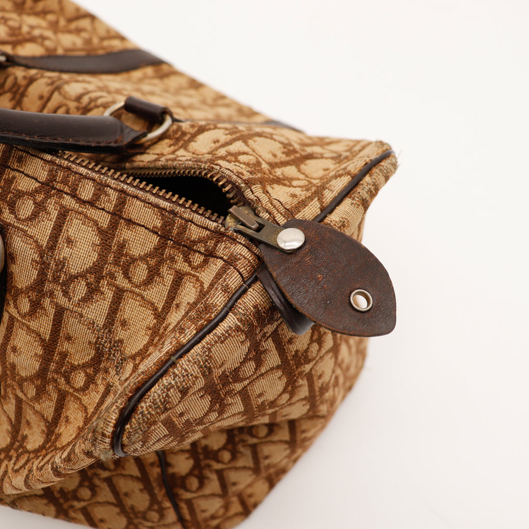 Le Boston Trotter Dior