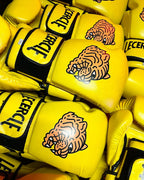 1 Sesión - El Círculo de Boxeo