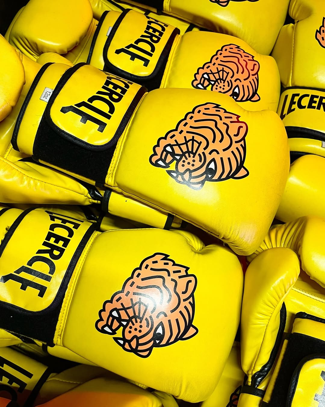 1 Sesión - El Círculo de Boxeo