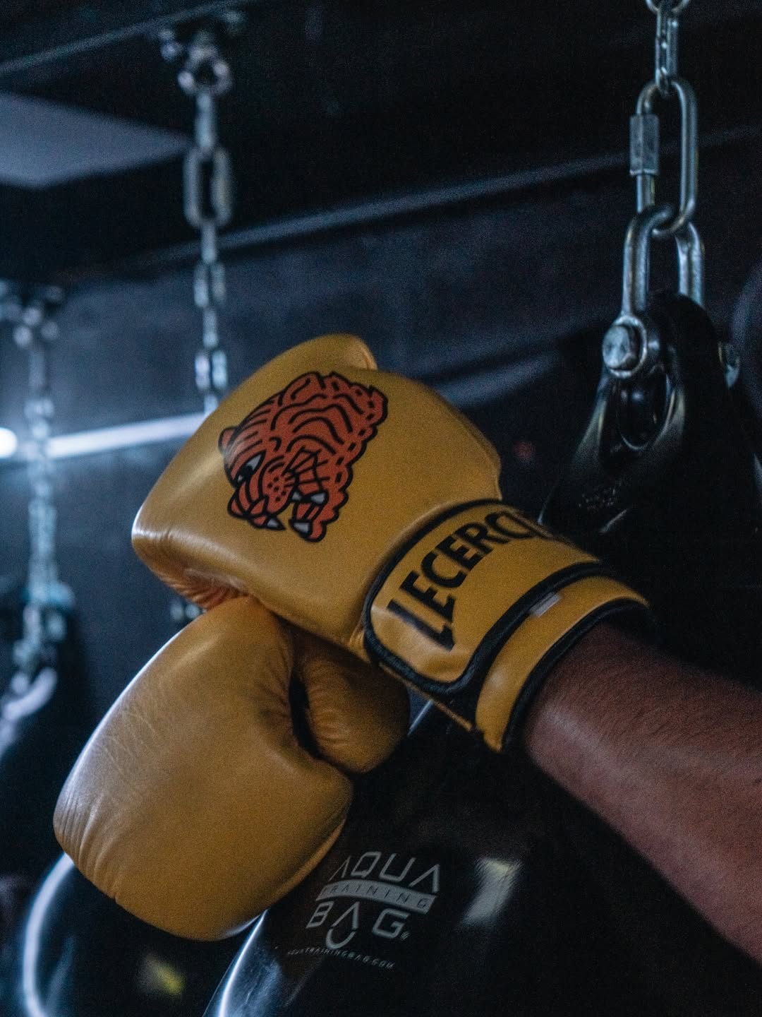 1 Sesión - El Círculo de Boxeo
