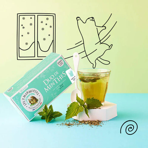 Infusion Bio Duo De Menthes - 30 Sachets