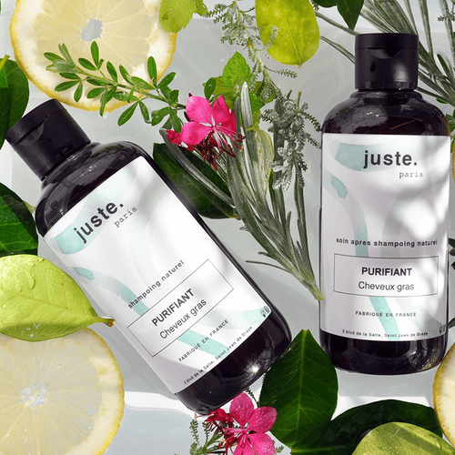 Shampoing Après-Shampoing Purifiant