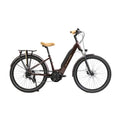 E-Absolute 34+ Active + 400W - Burdeos