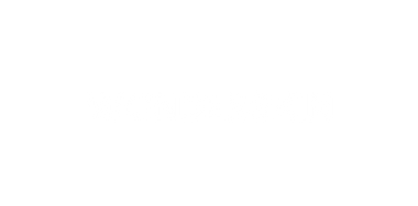 Logo Wonderskin