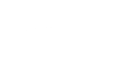 Logo White Sun