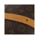 Sac À Main Louis Vuitton Marron