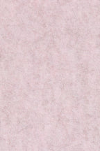 Thirsty - Dining Chair - Recycled Plastic - Pale Pink