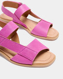 Gobio Fucsia