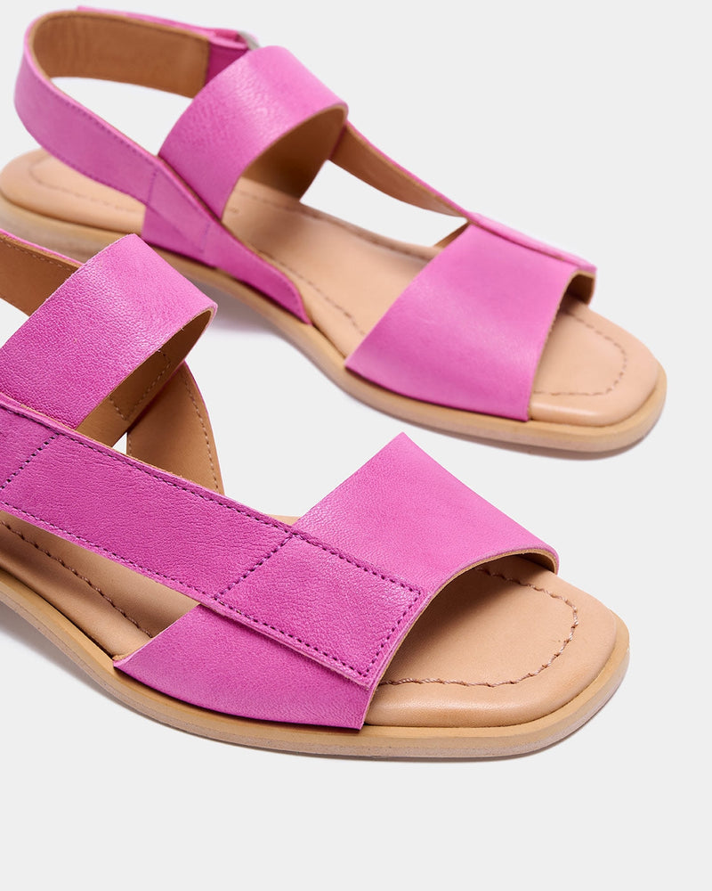 Gobio Fucsia