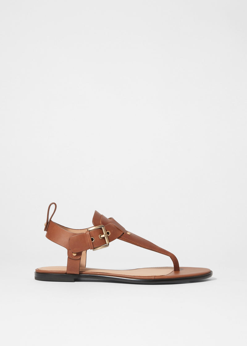 Sandalia Shoes America - Marrón - Mujer