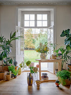 Serrone - Console Table - Natural - Rubberwood