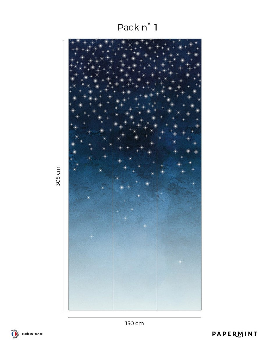 Starry Mural - Dark Blue