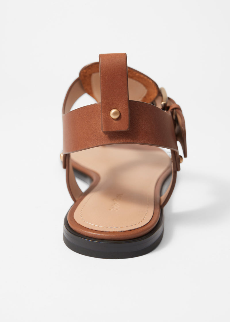 Sandalia Shoes America - Marrón - Mujer