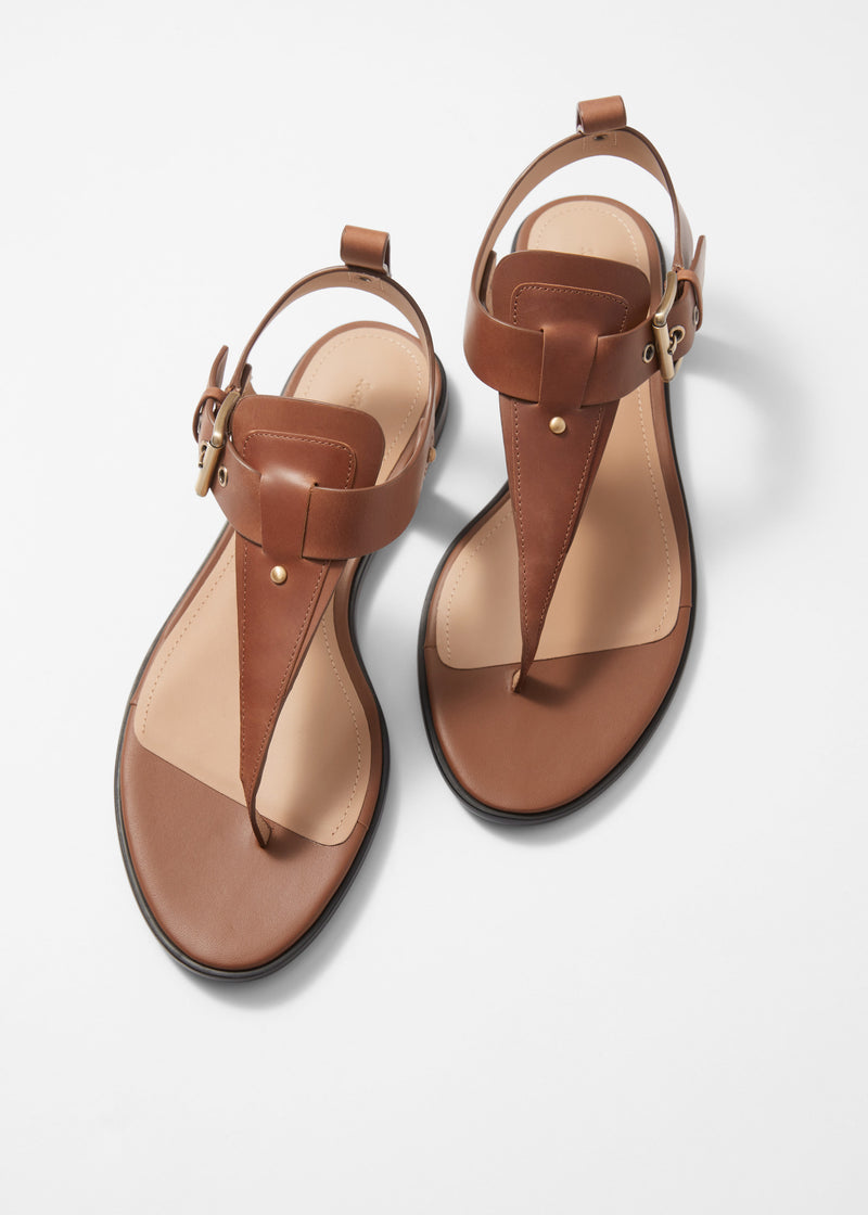 Sandalia Shoes America - Marrón - Mujer