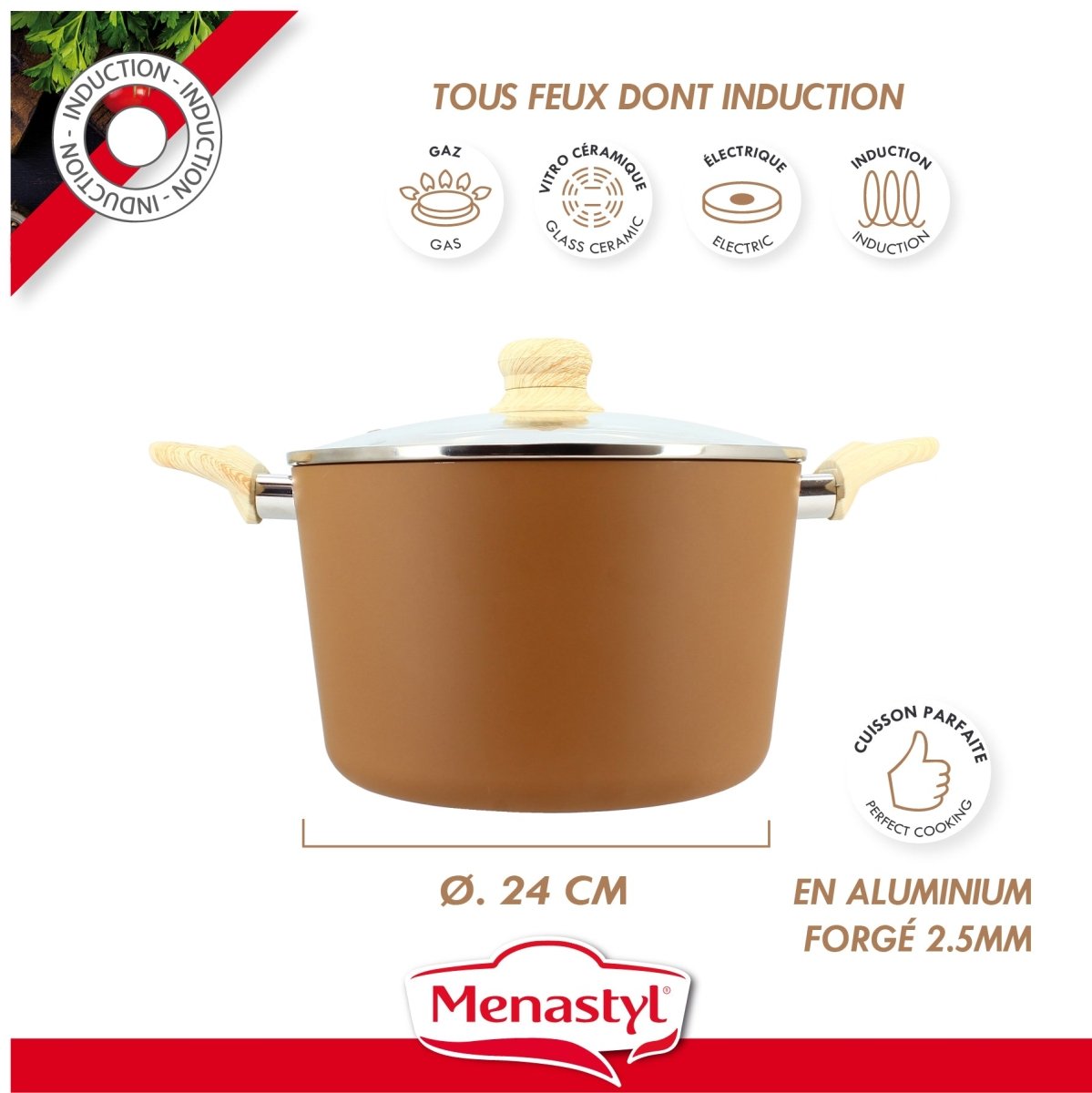 Colorama - Faitout - 24 Cm