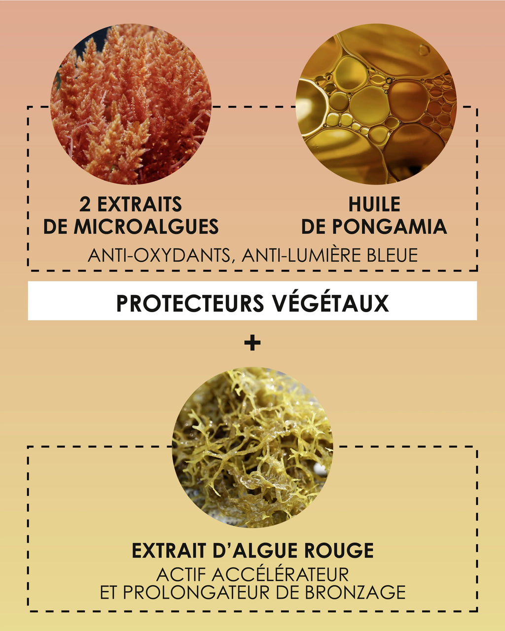 Eau Protectrice Métamorphosante Spf50+ - Anti-Âge & Anti-Taches