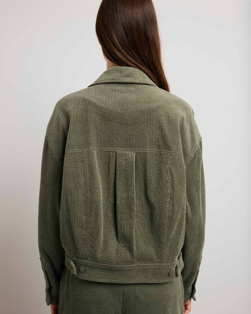Veste Luze - Gecko
