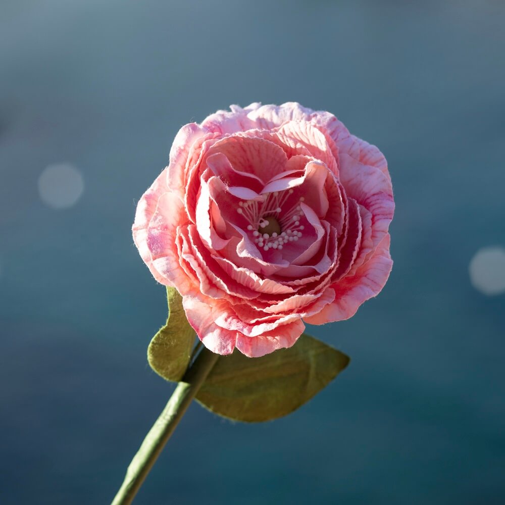 Camélia En Papier Rose Pâle
