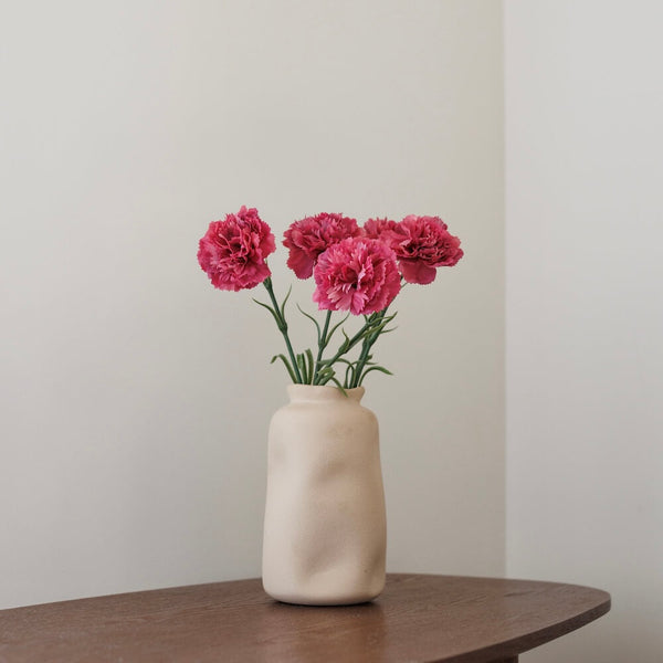 Oeillet Rose Foncé
