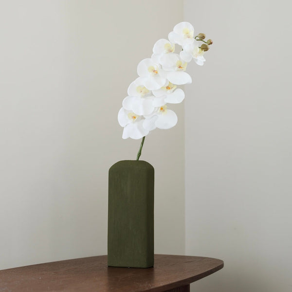 White Orchid
