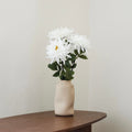 Dahlia Blanc
