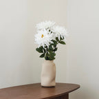 Dahlia Blanc