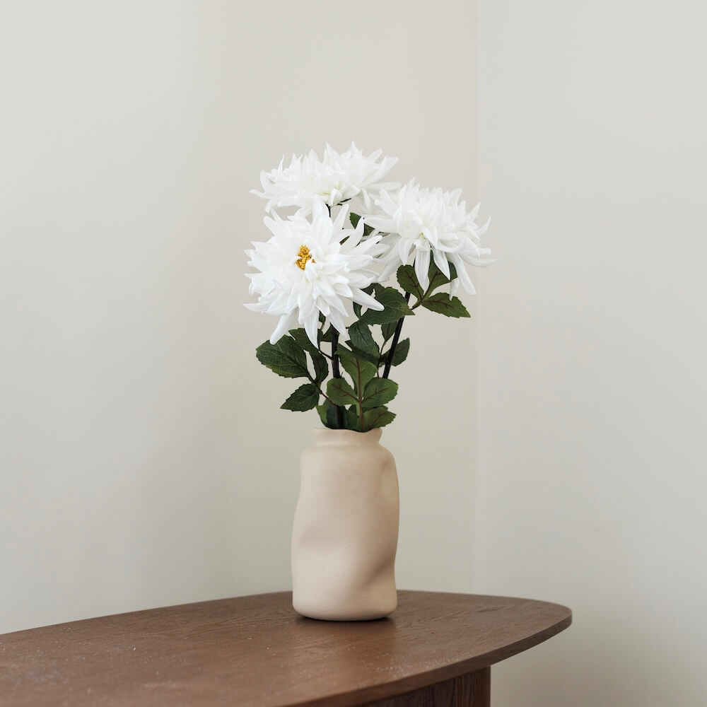 Dahlia Blanc