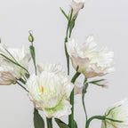 Lisianthus En Papier Blanc