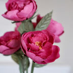 Pivoine De Jardin En Papier Fuchsia