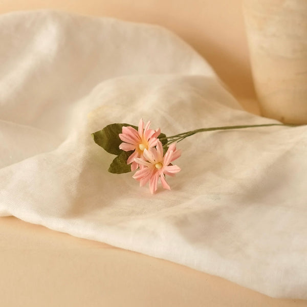 Light Pink Wild Paper Daisies