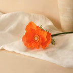 Orange Paper Poppy