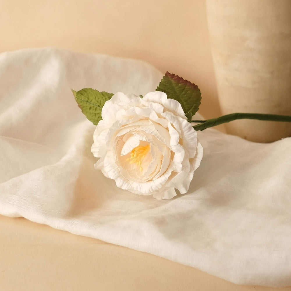 Rose Anglaise En Papier Blanche