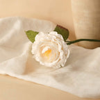 Rose Anglaise En Papier Blanche