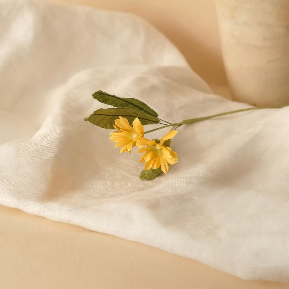 Marguerites Sauvages En Papier Jaune