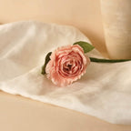 Camélia En Papier Rose Pâle