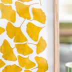 Herbier Camaieux De Ginkgo A4