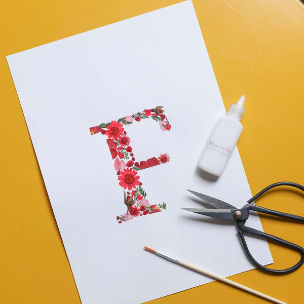 Diy Alphabet Herbarium Kit Red
