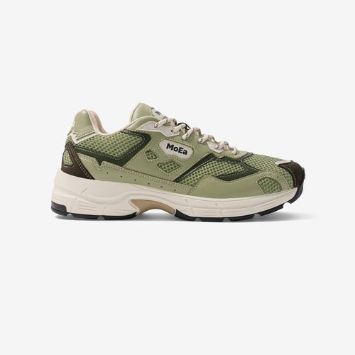 Baskets Gen8 - Cactus Full Aloe
