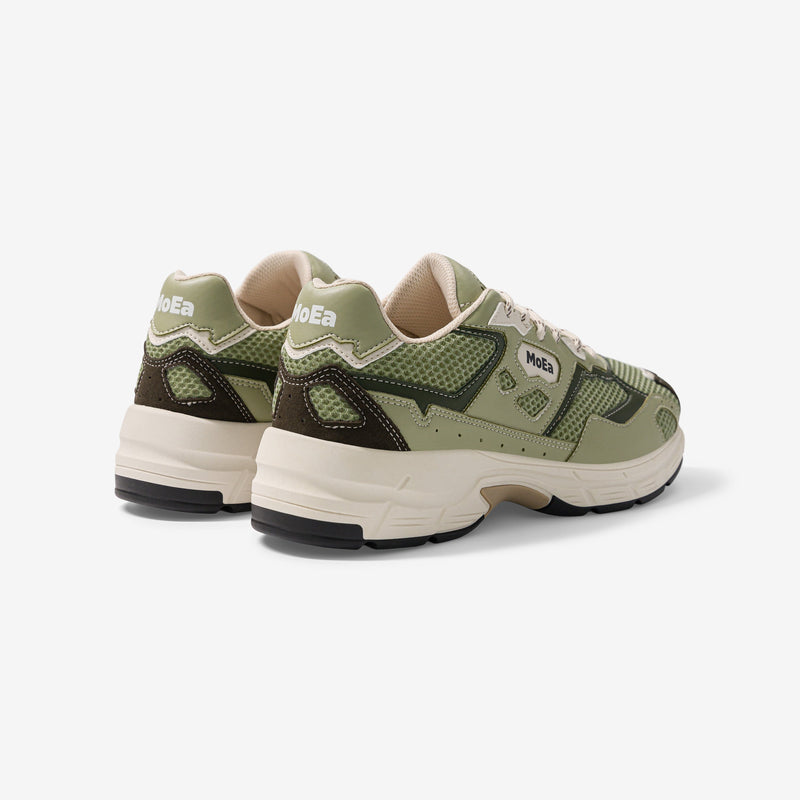 Baskets Gen8 - Cactus Full Aloe