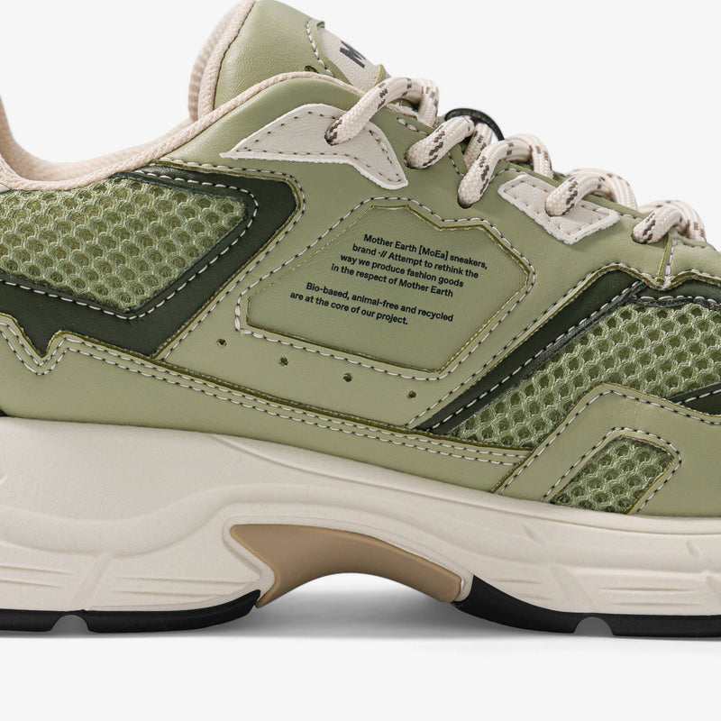 Baskets Gen8 - Cactus Full Aloe