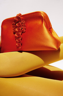 Alessa Tangerine Pouch Bag