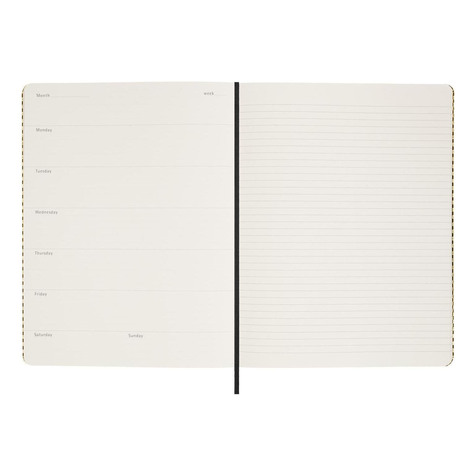 Undated Diary XL 20.4 x 25.2 - Undated - Gold