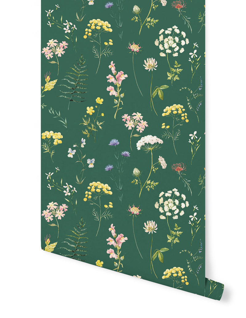 Herbarium Wallpaper - Meadow
