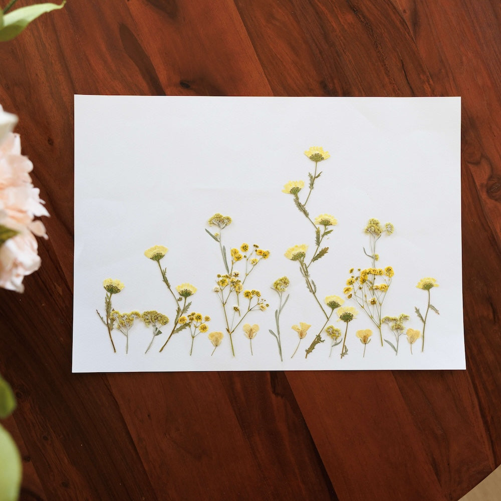 Country Petals Herbarium A3